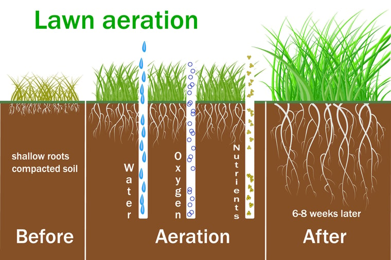 aeration-infographic