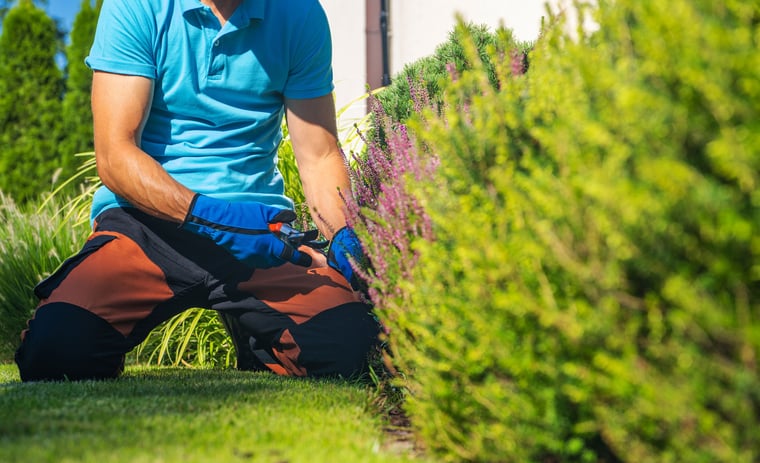 lawn-care-worker-pruning-shrub