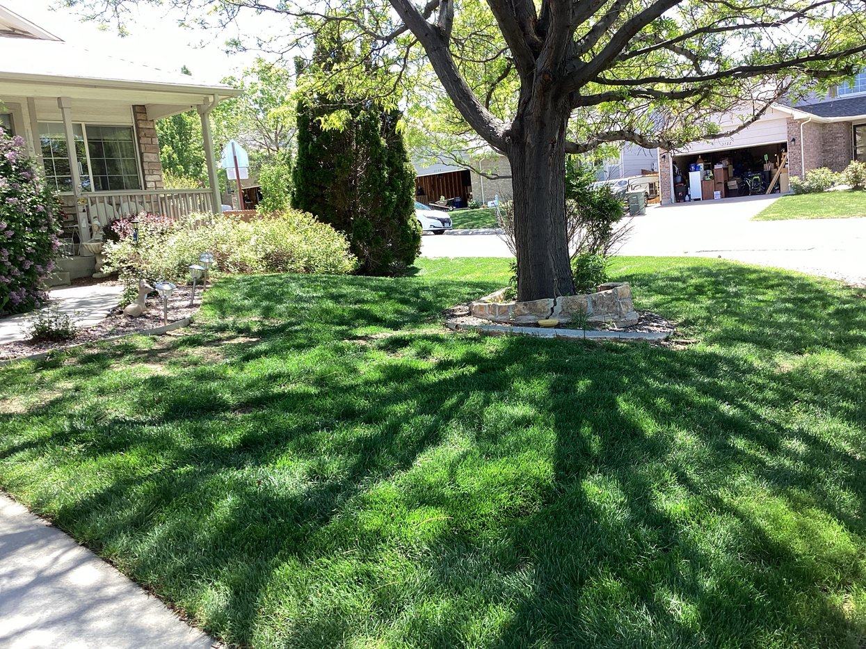 Residential Home in Colorado with nice lawn