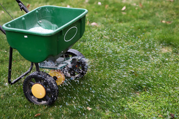 aca-fertilize-revive-your-lawn-this-autumn