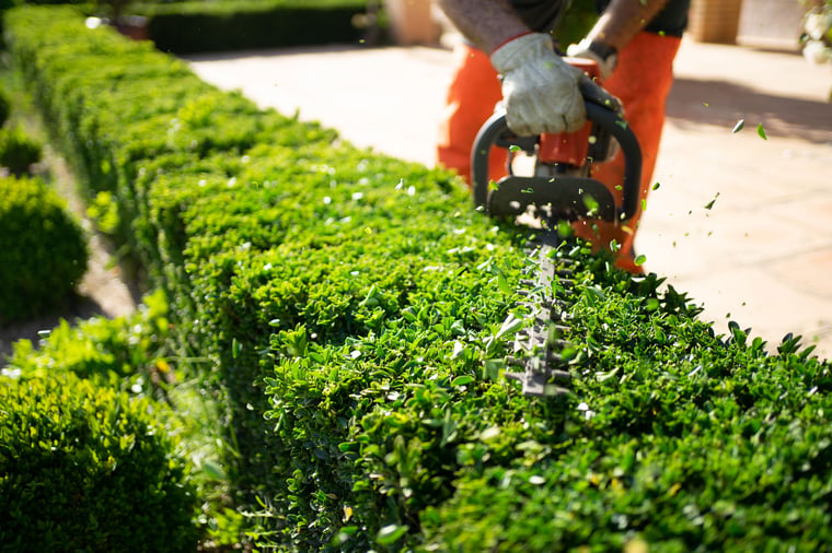 detail-maintenance-crew-member-trimming-shrub