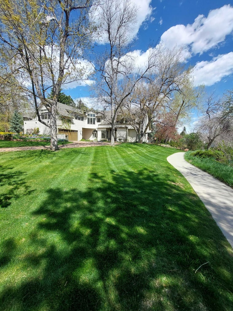 fresh-cut-grass-residential-home