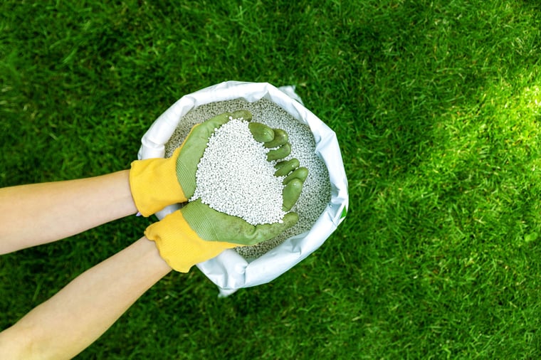 Granular Fertilizer Applied to the Lawn