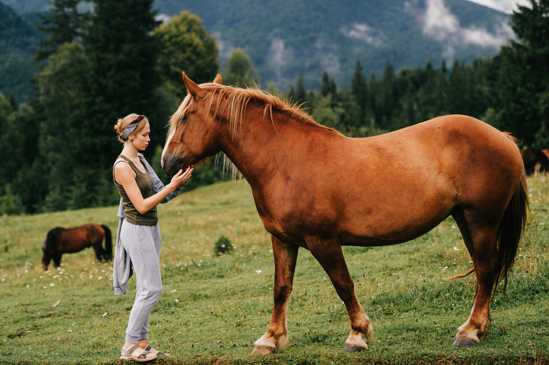 go horseback riding in the mountains