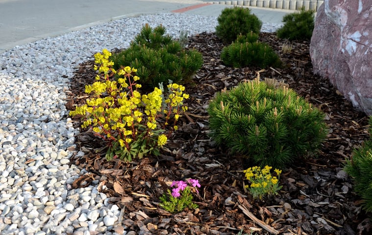 landscape-bed-rock-mulch-plants