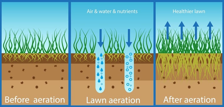  A diagram of lawn aeration before, during, and after the service.
