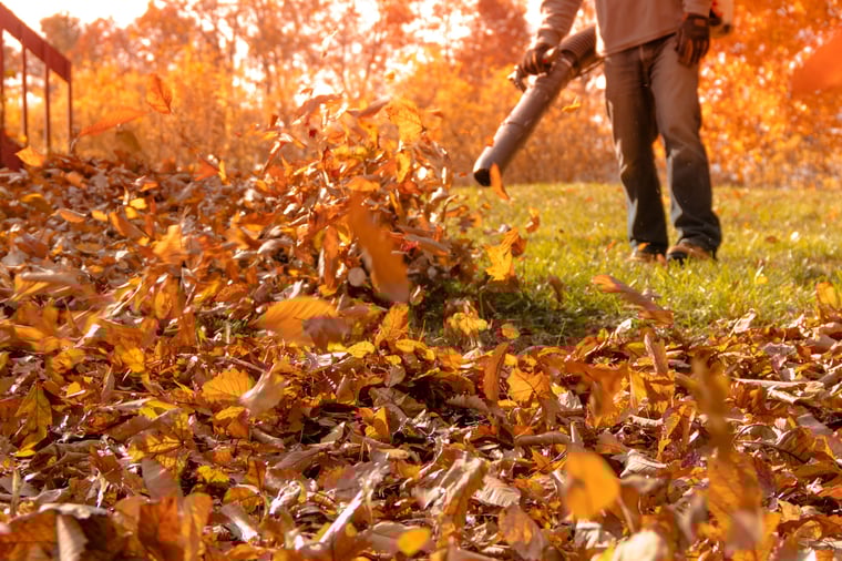 lawn-care-worker-blowing-leaves-yard-cleanup