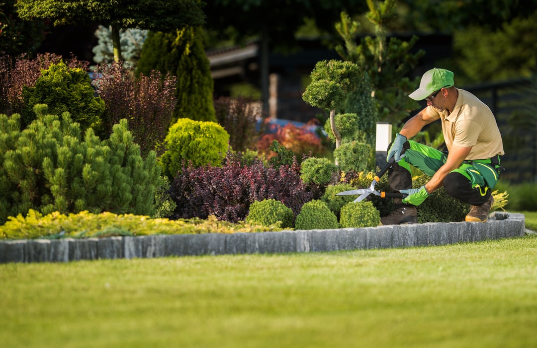 Professional landscaper pruning shrubs with manual clippers in a vibrant, multicolored garden, showcasing meticulous landscape maintenance and gardening services