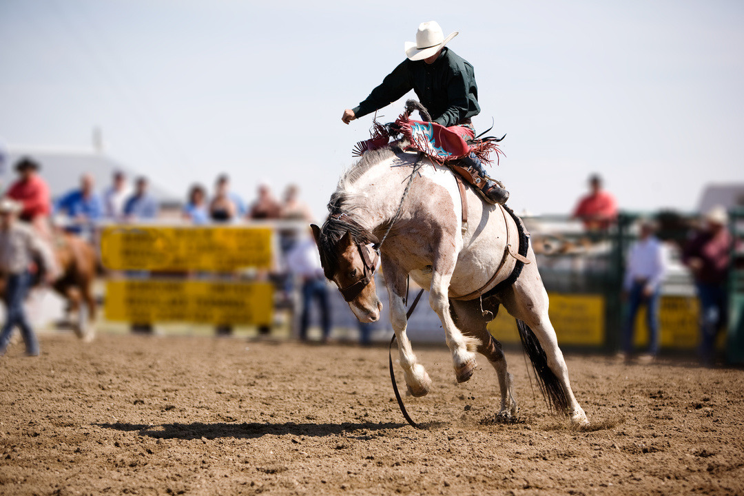 cheer at the snowmass rodeo