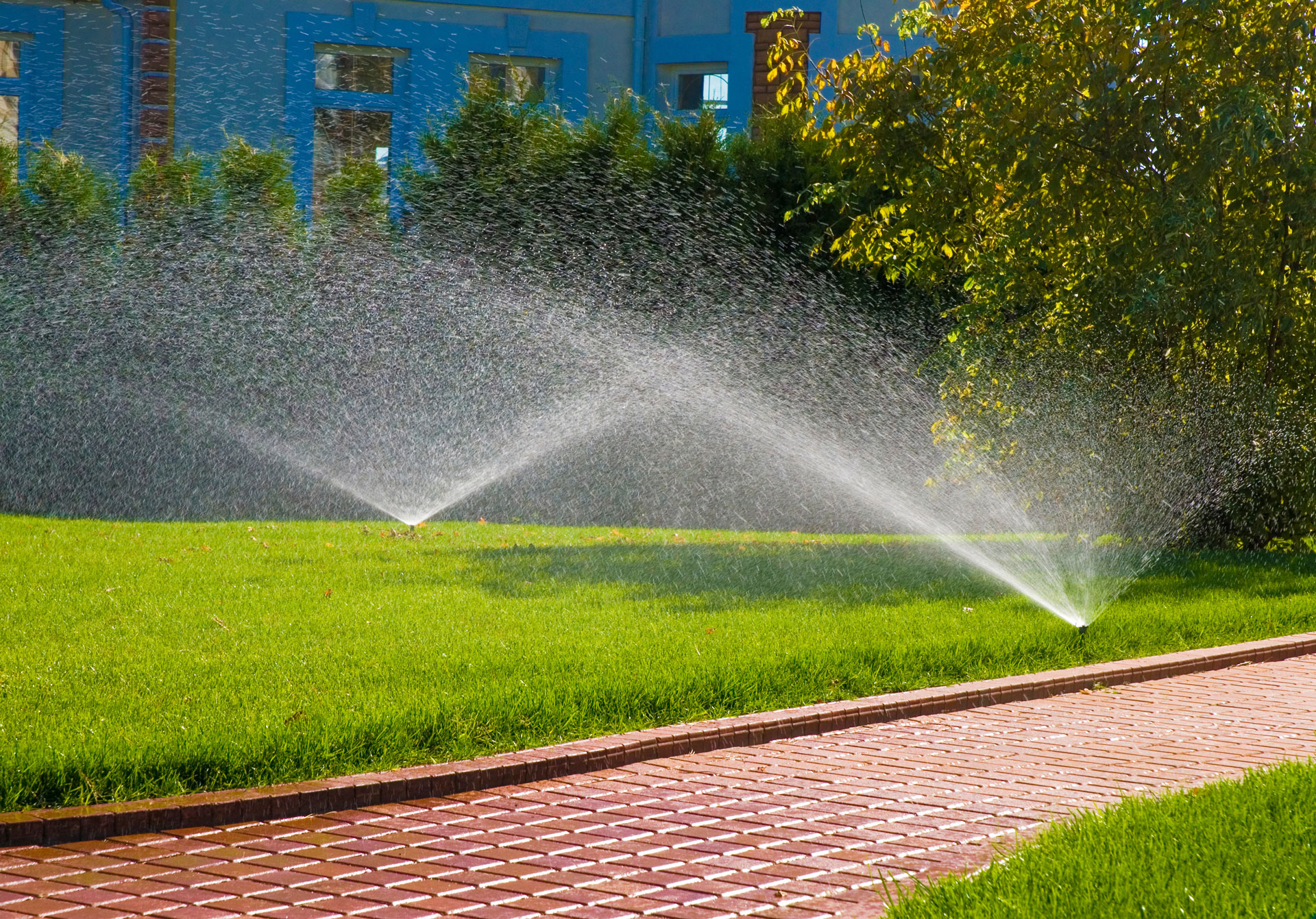 7 Smart Ways to Save Water and Money with Your Irrigation System