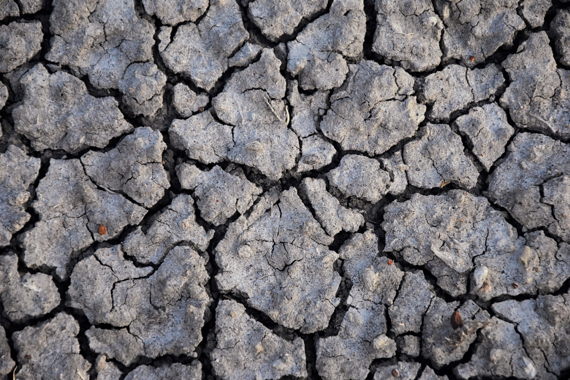 Colorado Clay Soil