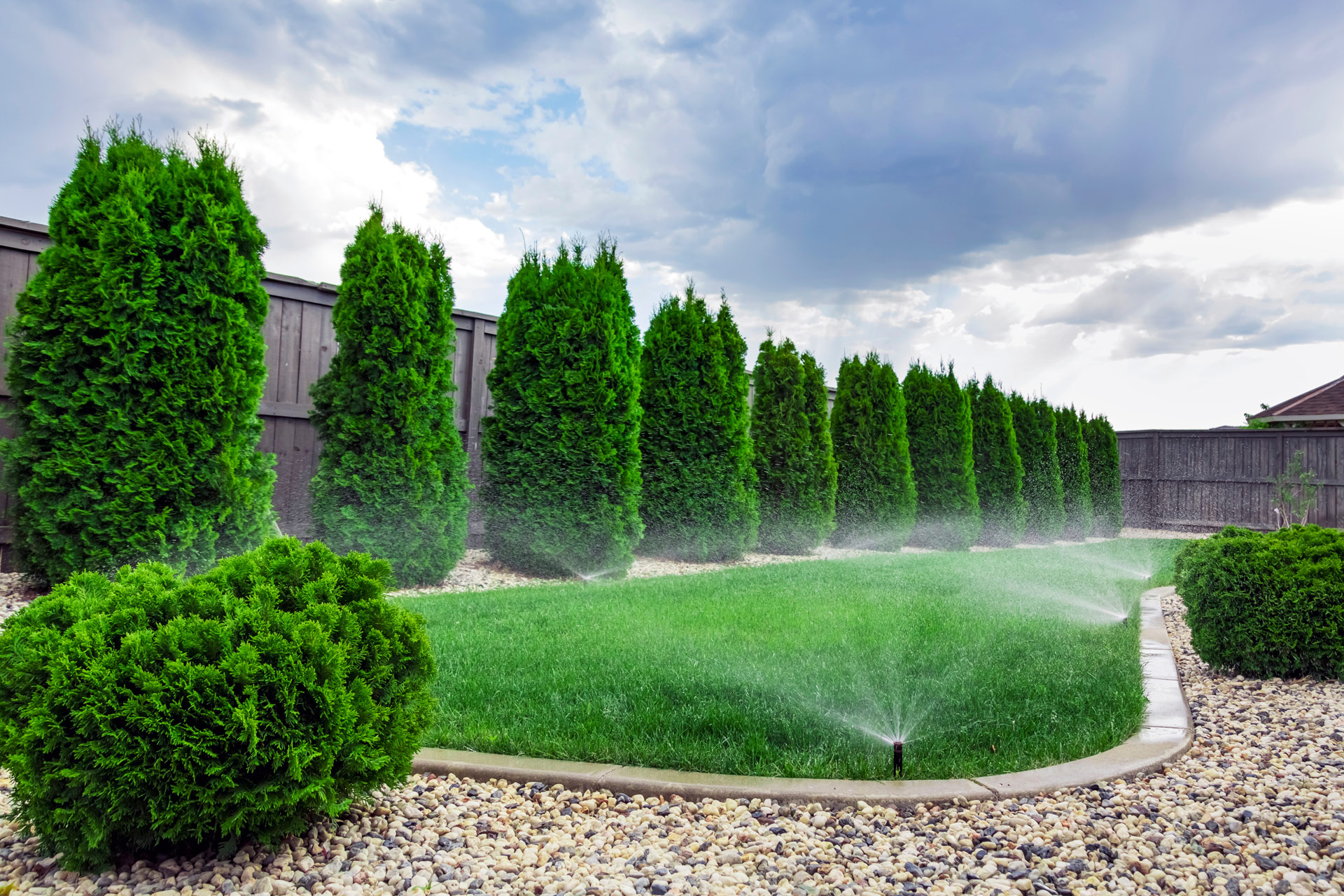 Colorado Lawn Care Watering Guide for Spring