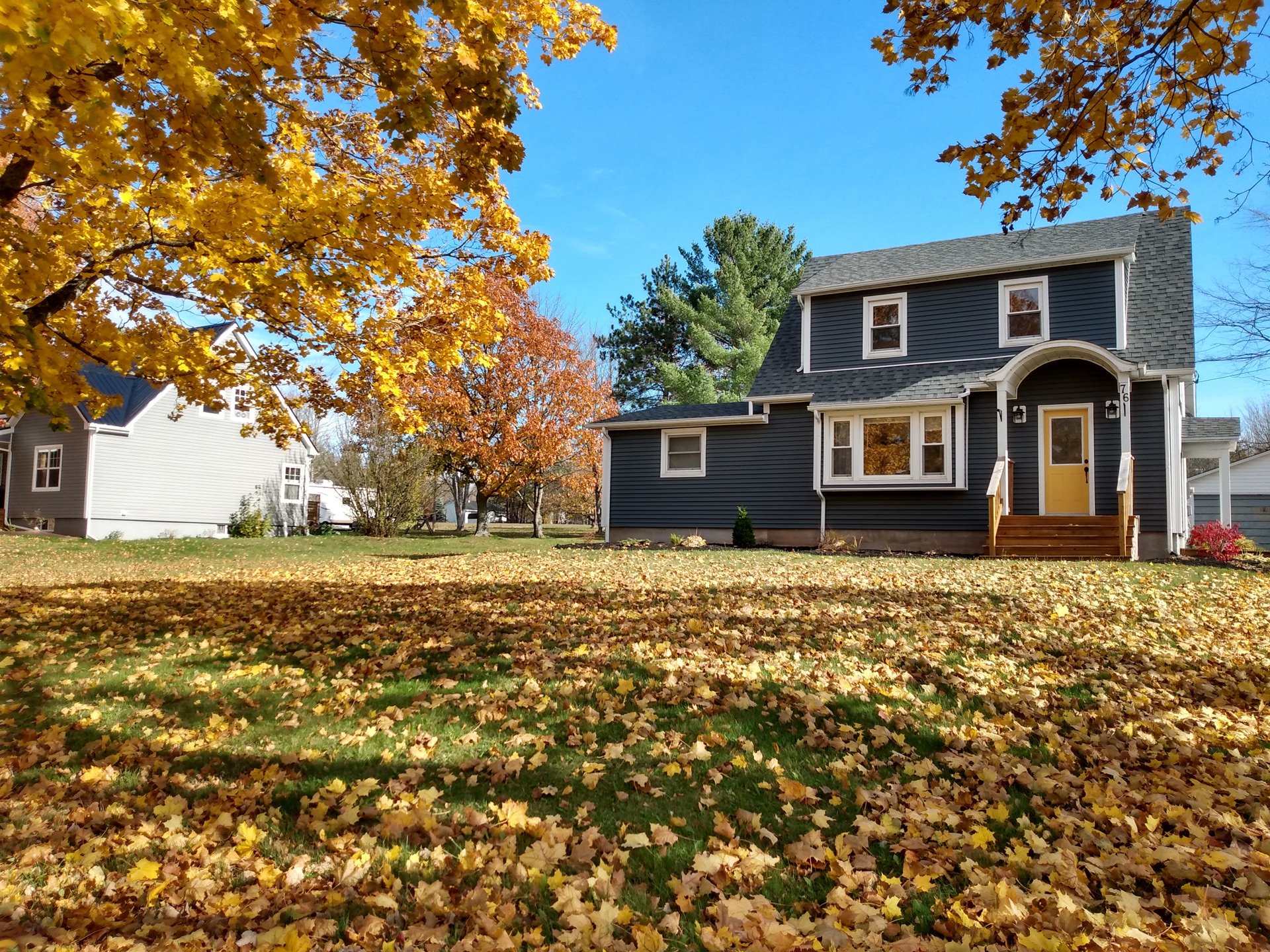 Fall Leaves on Residential Lawn