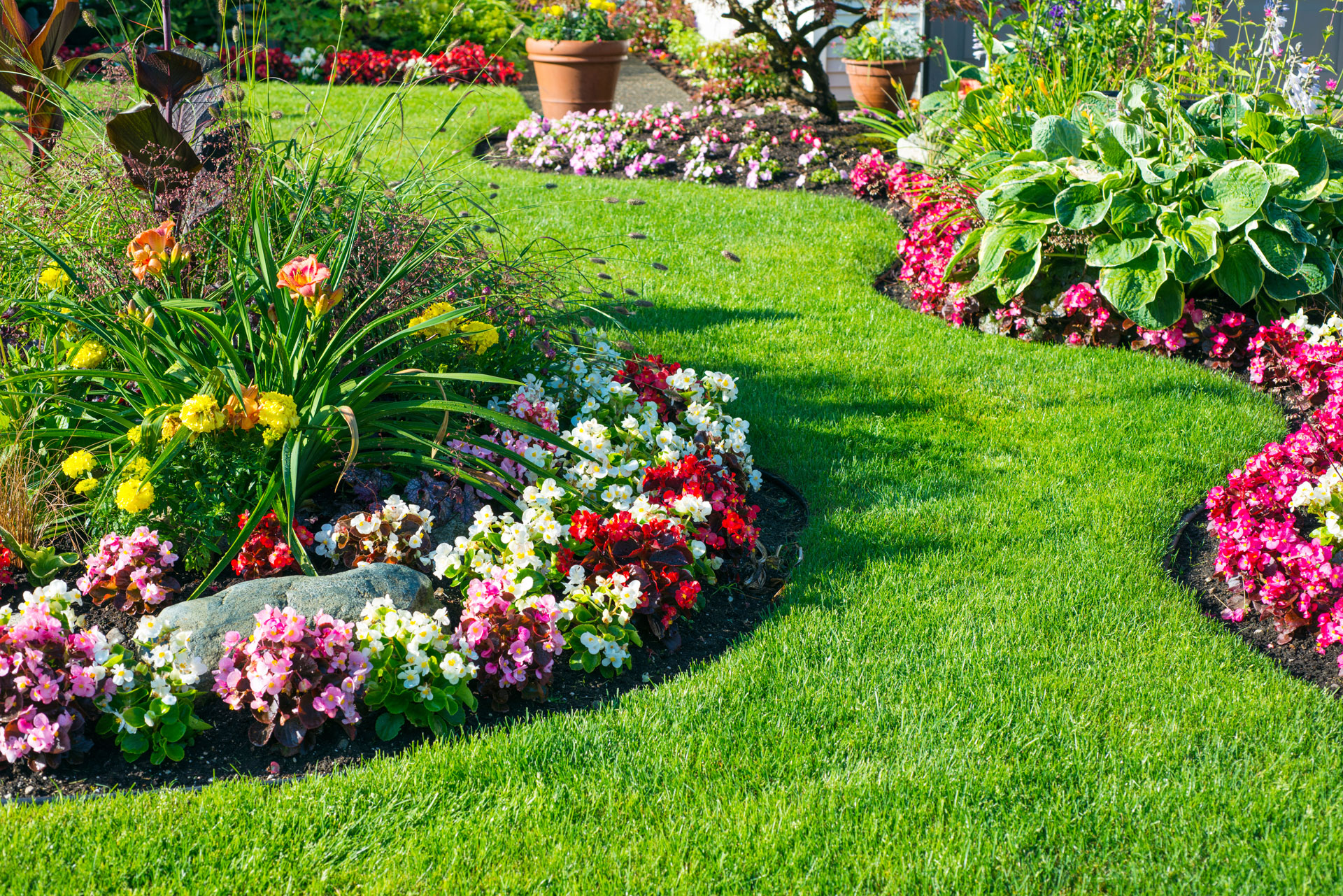 Beautiful Residential Home Owners' Lawn