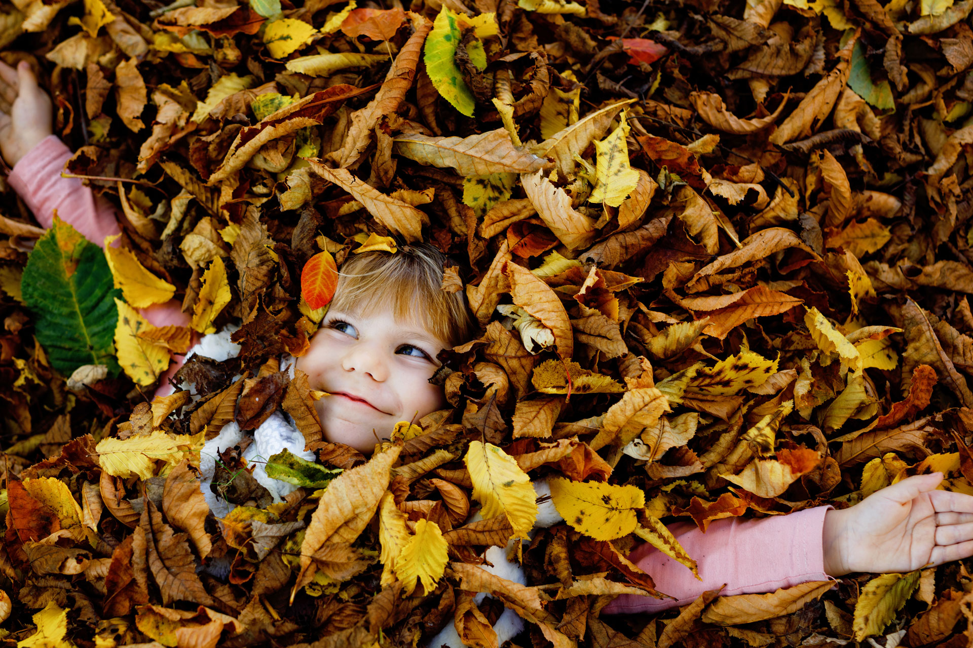 Toddler Girl in Leaves