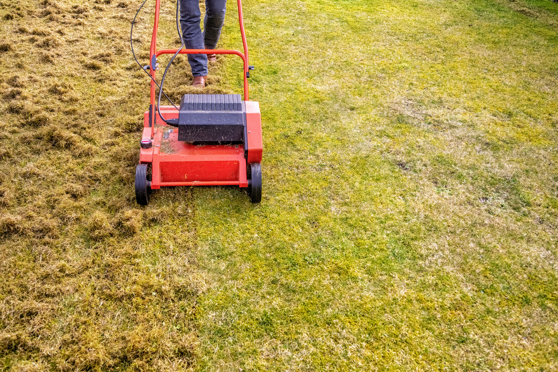 Power Raking the Yard in Colorado